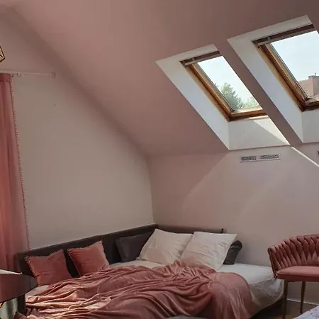 Guest house Dom Pod Roza